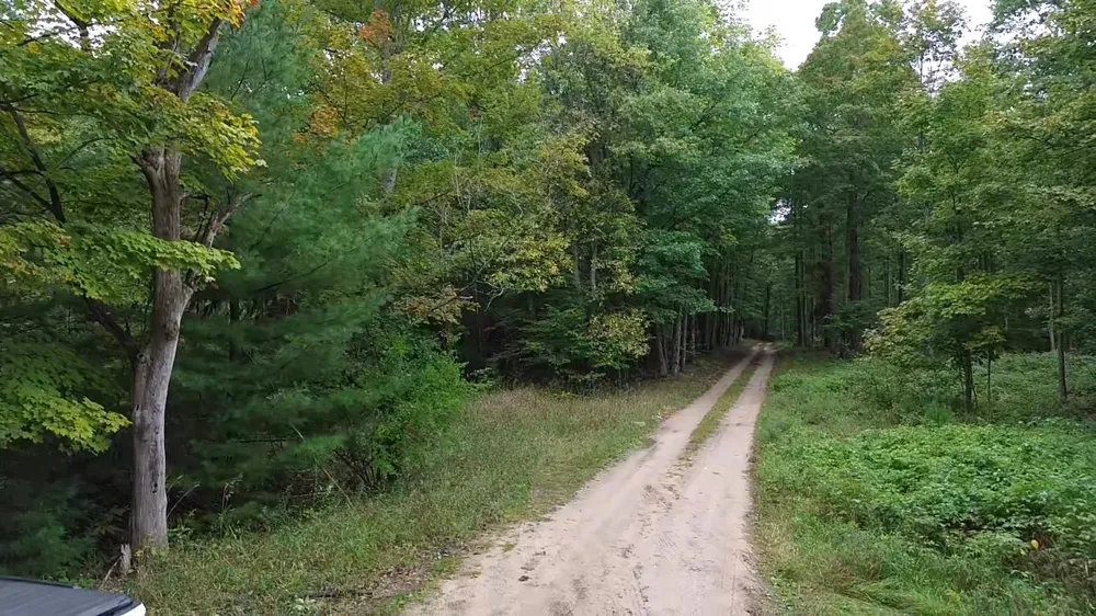 S Fritz Road Kasson Township, MI 49630