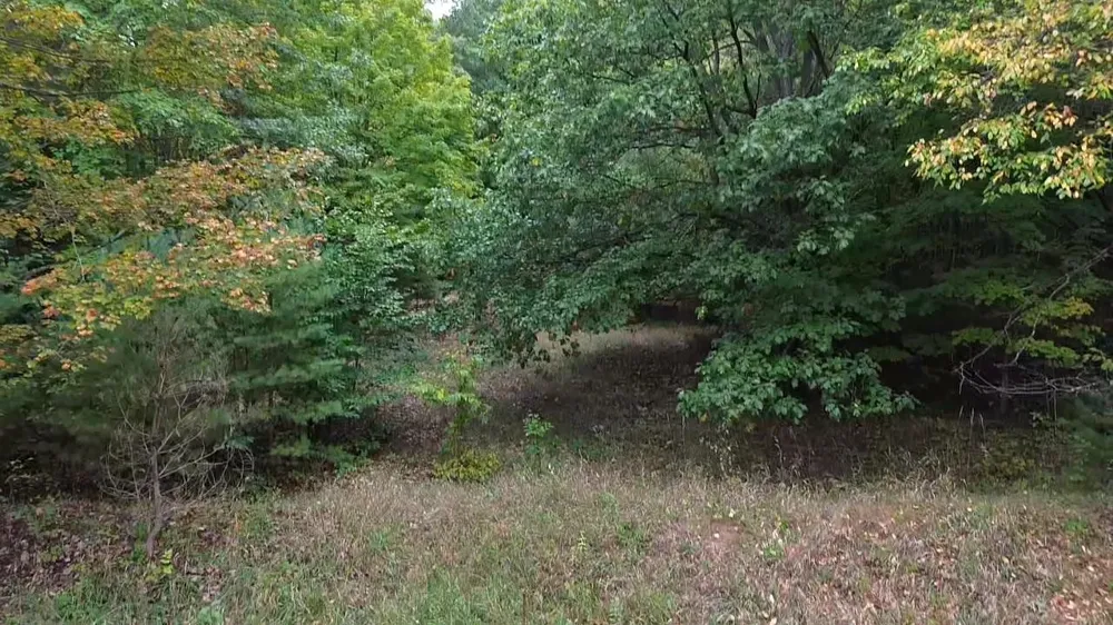 S Fritz Road Kasson Township, MI 49630