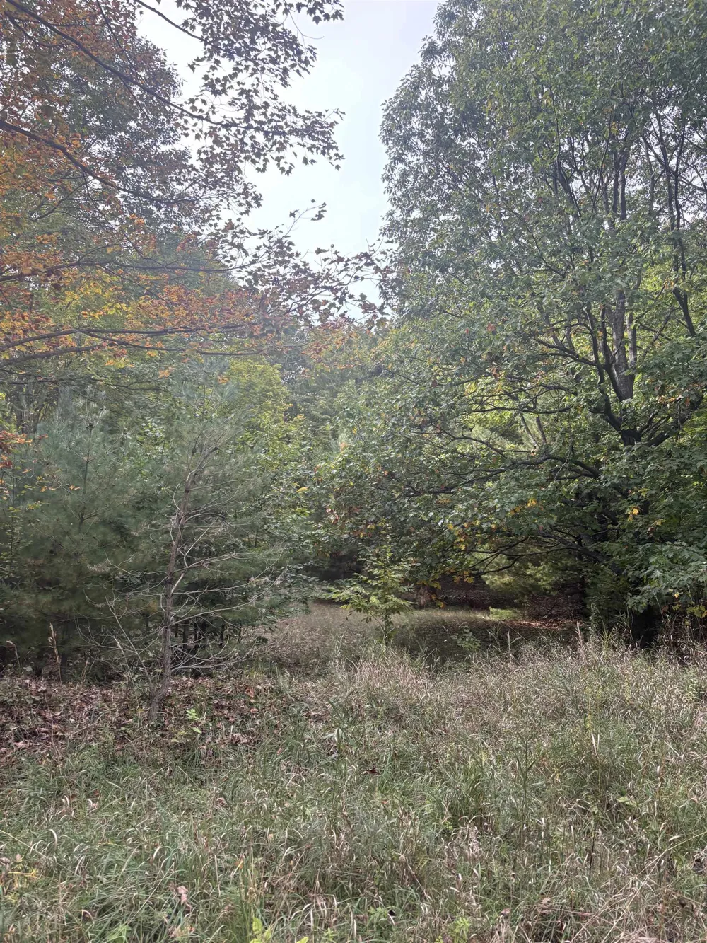 S Fritz Road Kasson Township, MI 49630