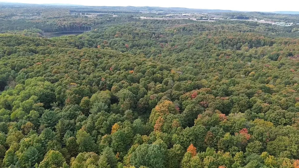 S Fritz Road Kasson Township, MI 49630