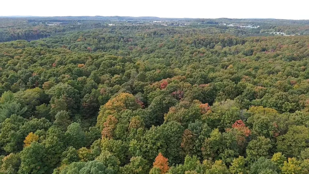 S Fritz Road Kasson Township, MI 49630