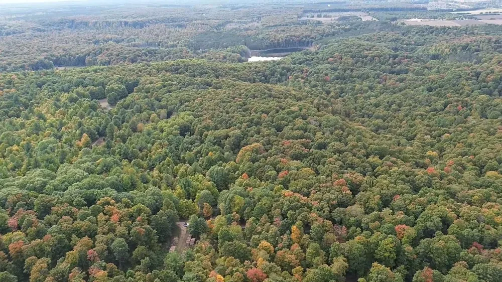 S Fritz Road Kasson Township, MI 49630