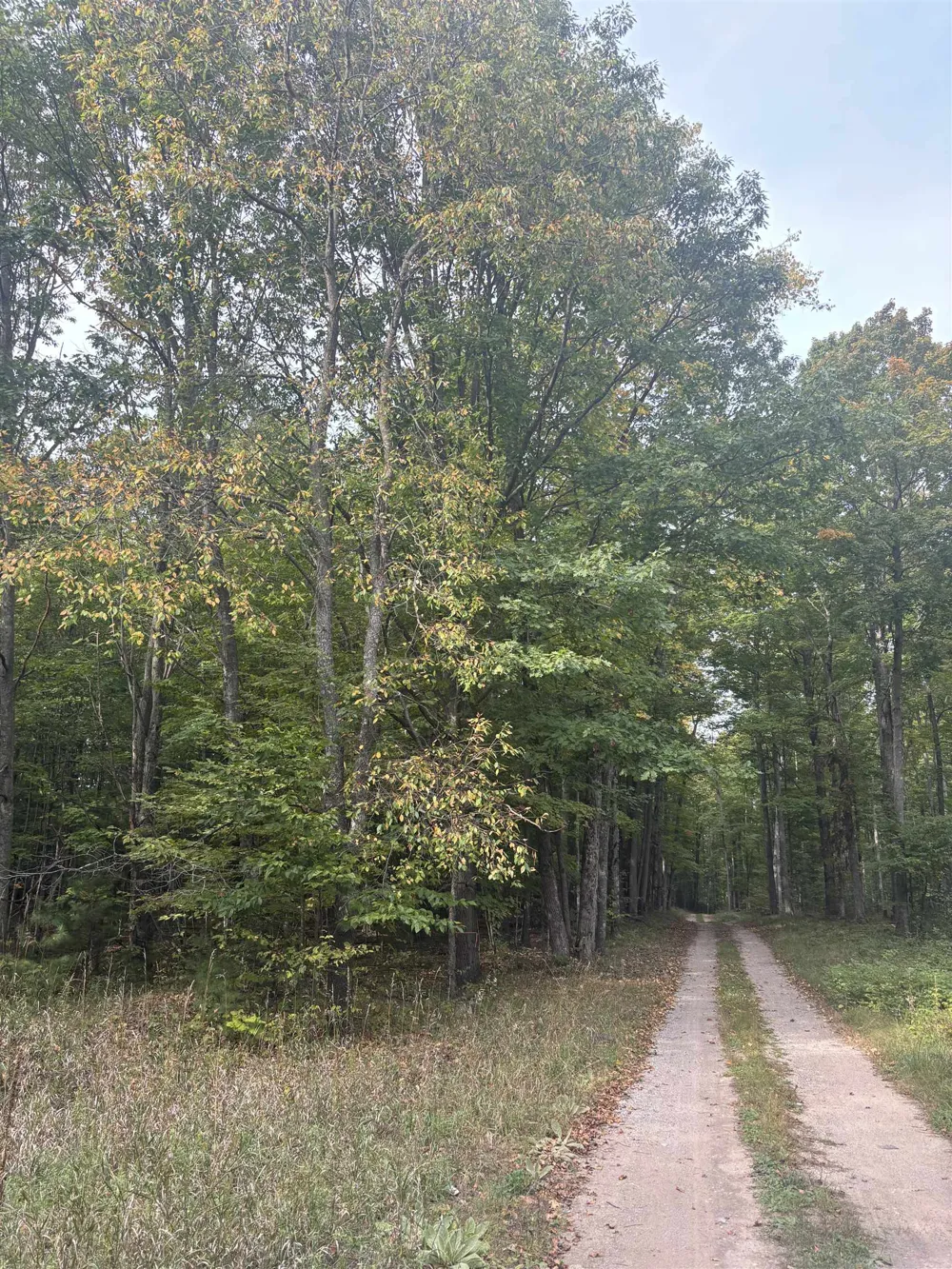 S Fritz Road Kasson Township, MI 49630