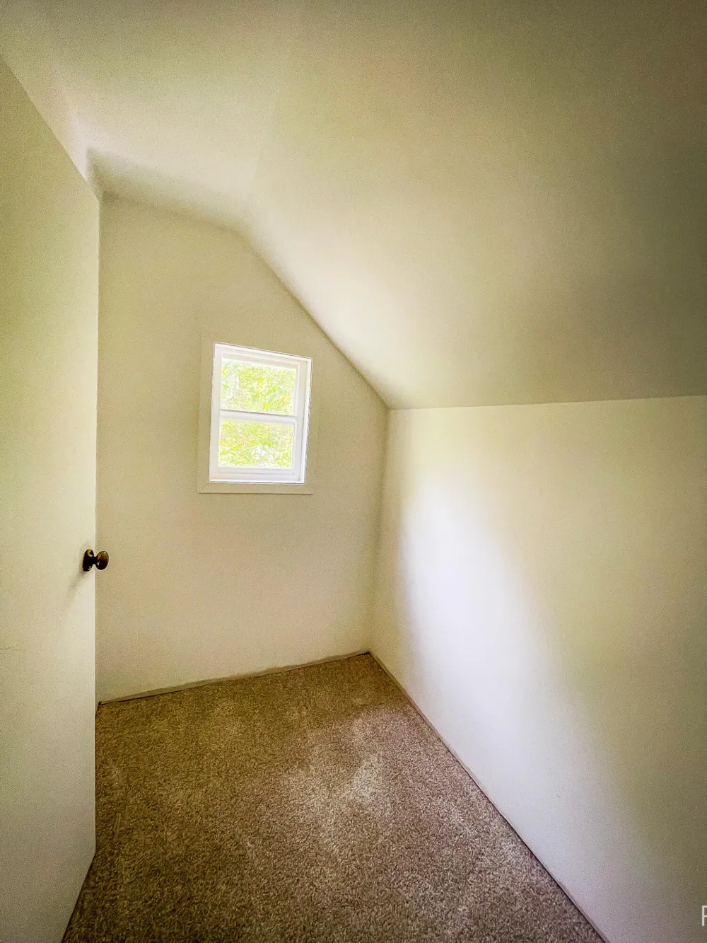 446 Bayview Court Leighton Township, MI 49316