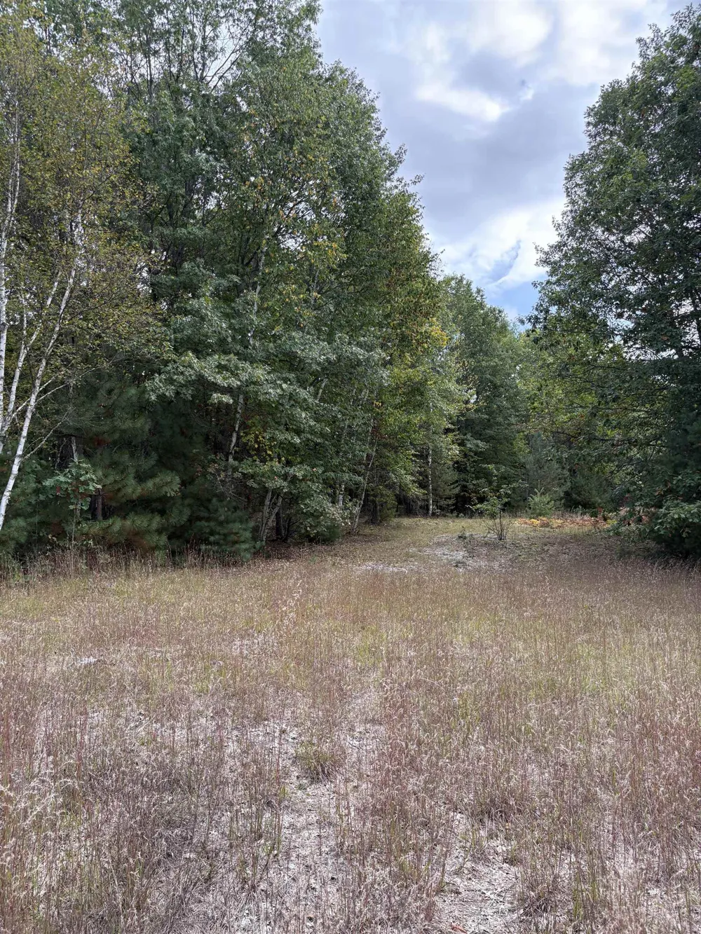 7267 S Snyder Road Springfield Township, MI 49633