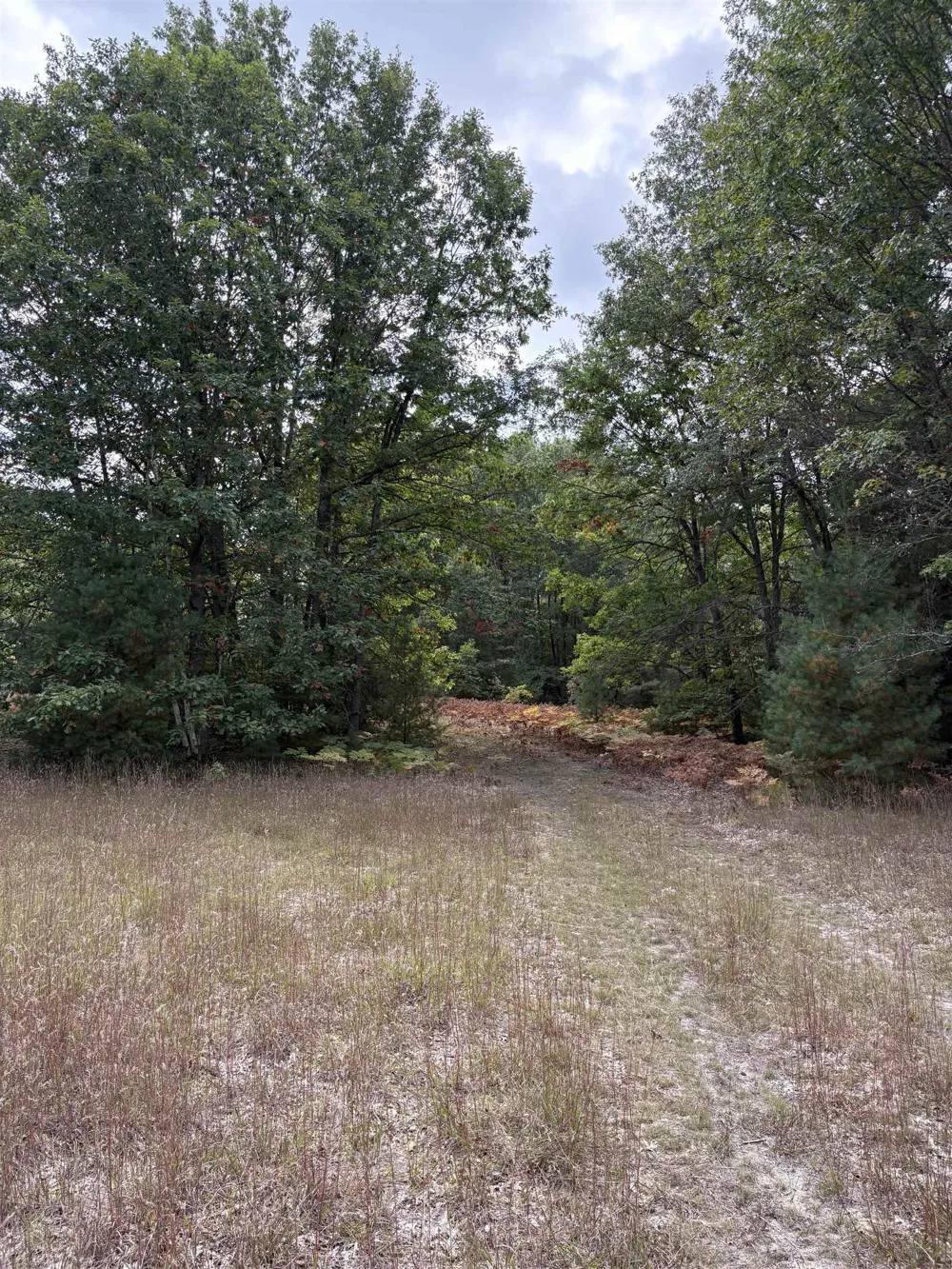 7267 S Snyder Road Springfield Township, MI 49633