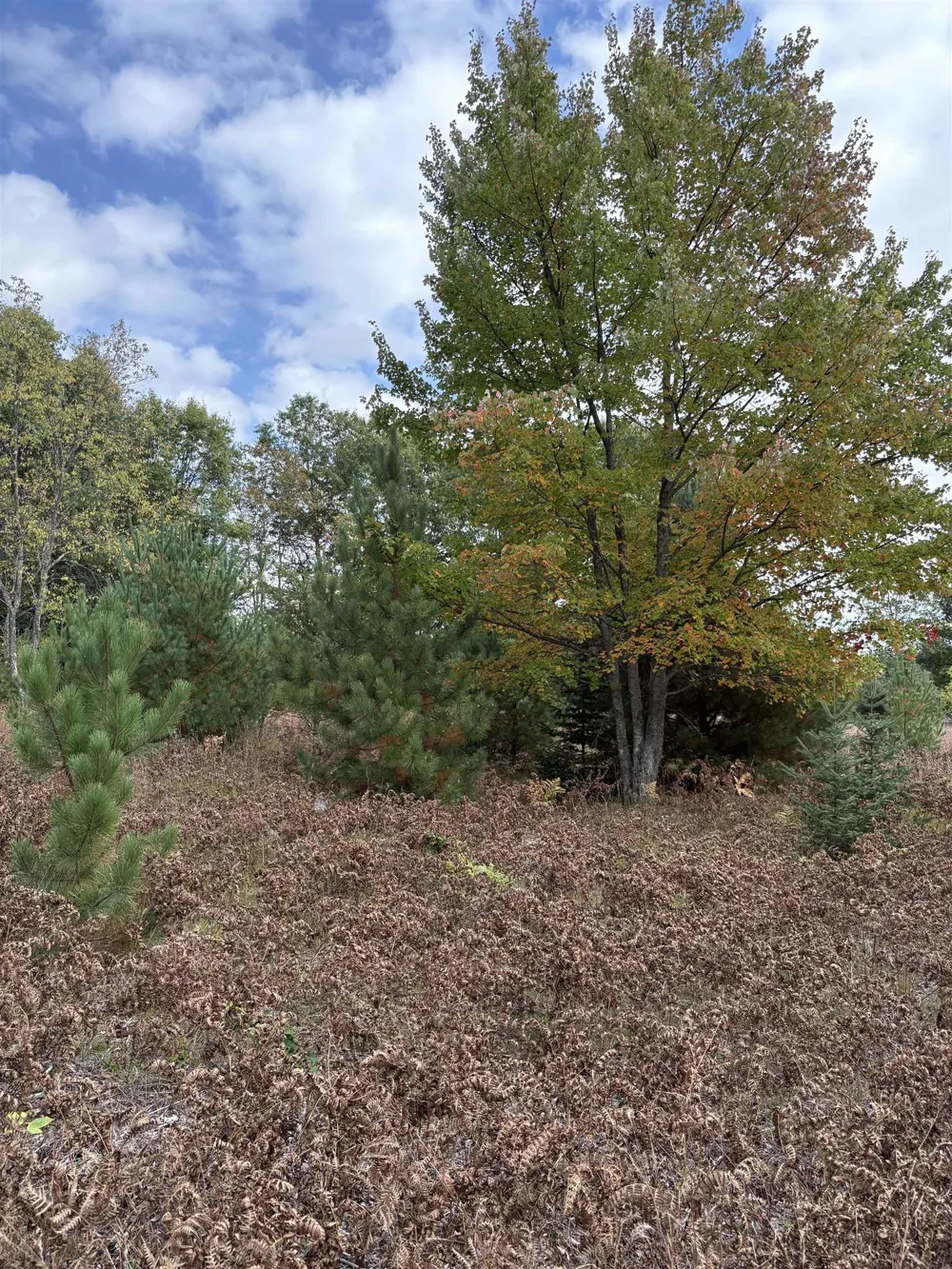 7267 S Snyder Road Springfield Township, MI 49633