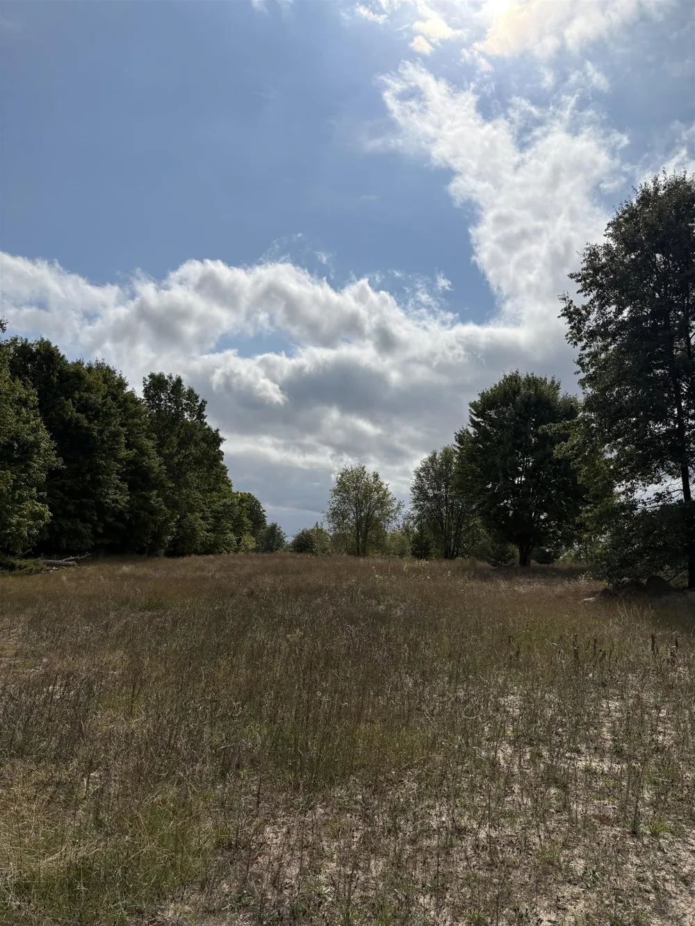 7267 S Snyder Road Springfield Township, MI 49633