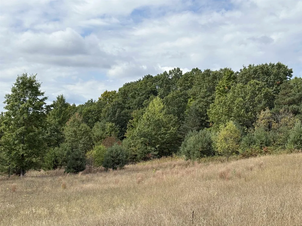 7267 S Snyder Road Springfield Township, MI 49633