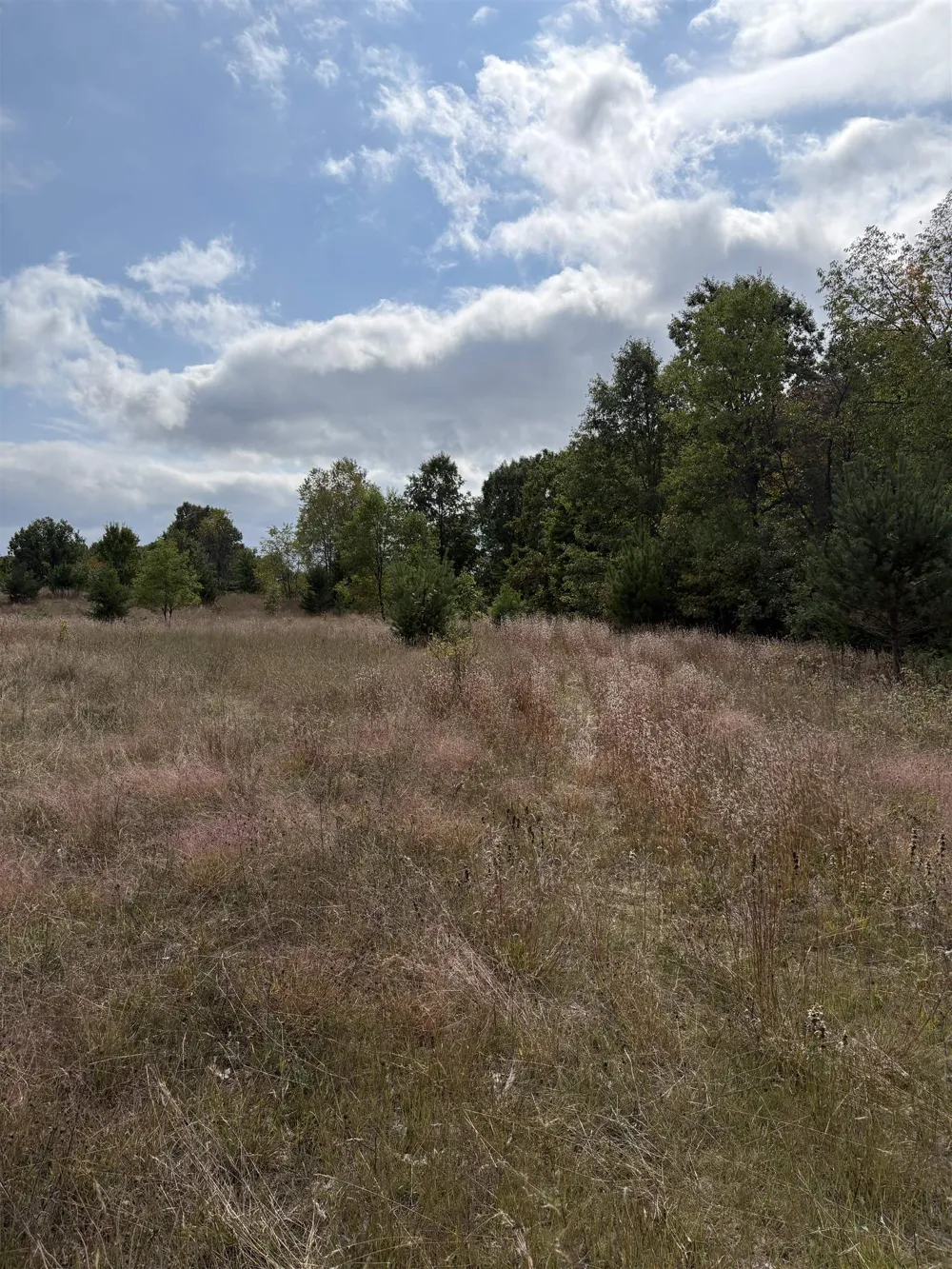 7267 S Snyder Road Springfield Township, MI 49633