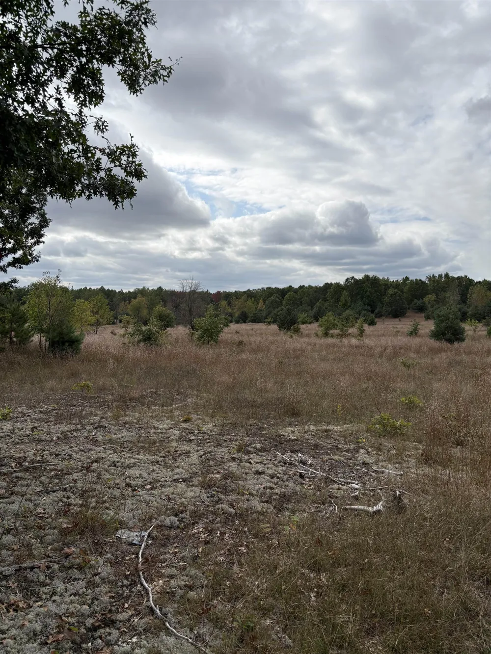 7267 S Snyder Road Springfield Township, MI 49633