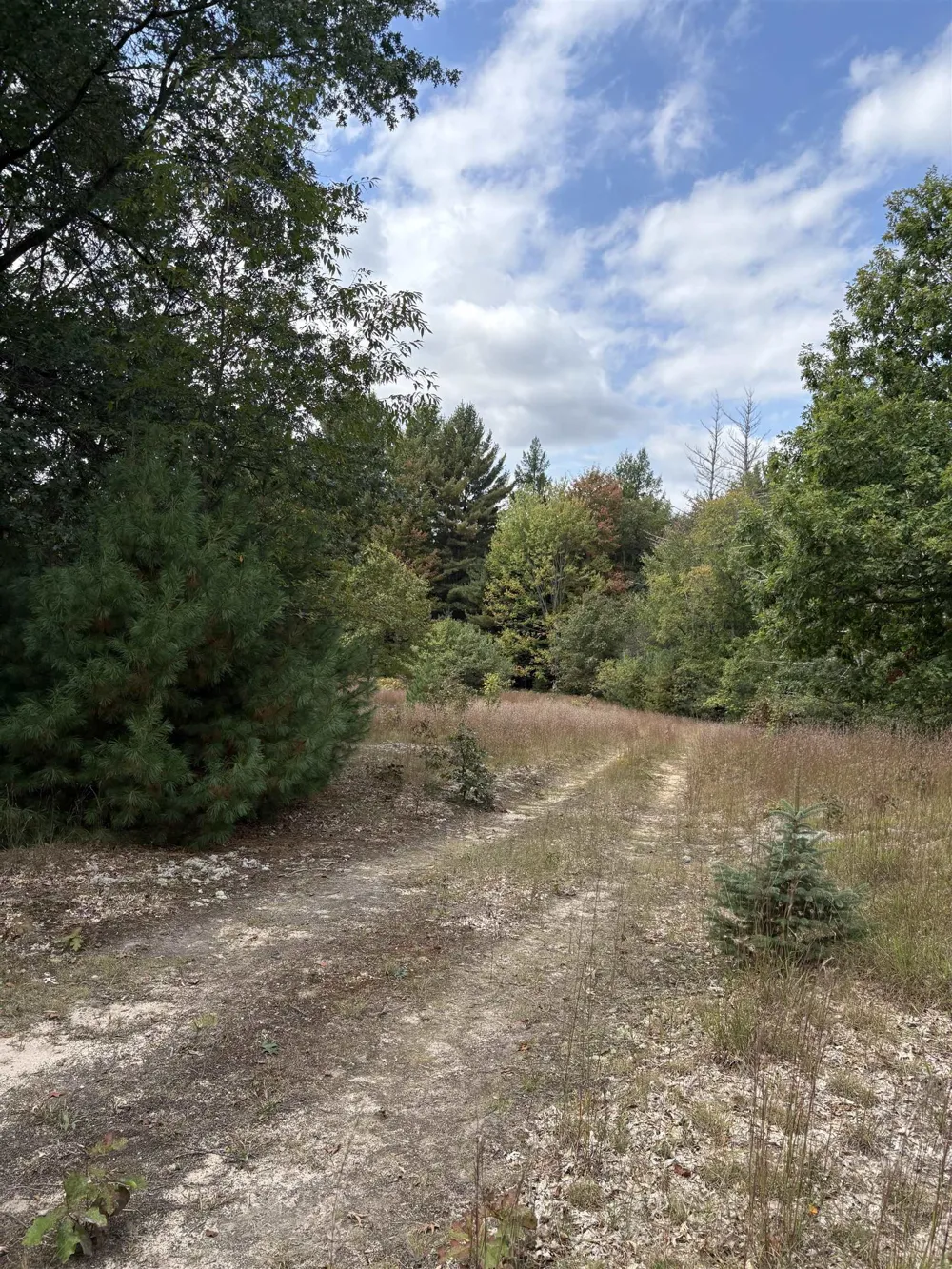 7267 S Snyder Road Springfield Township, MI 49633