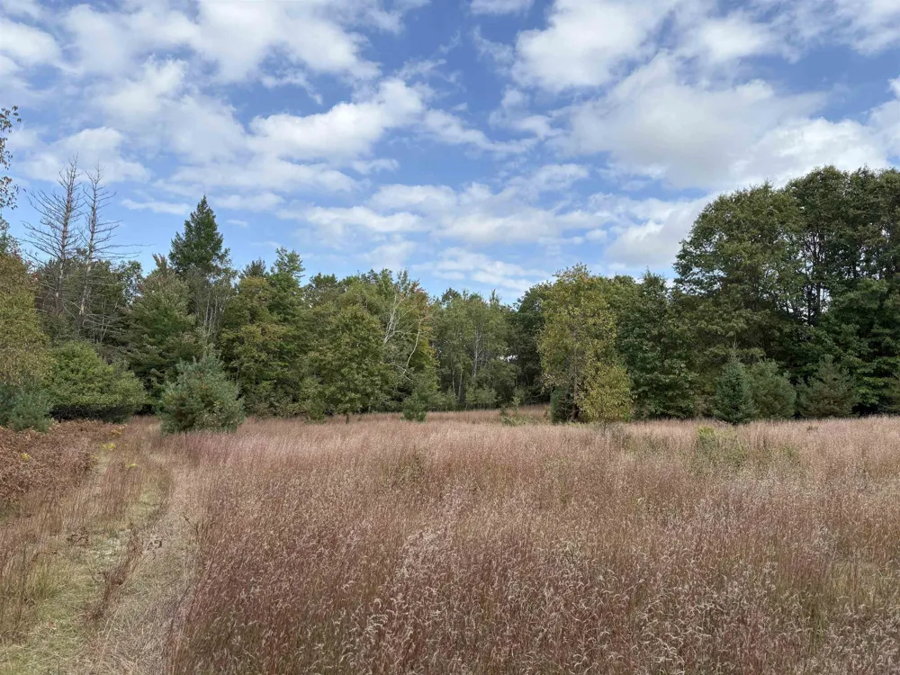 7267 S Snyder Road Springfield Township, MI 49633