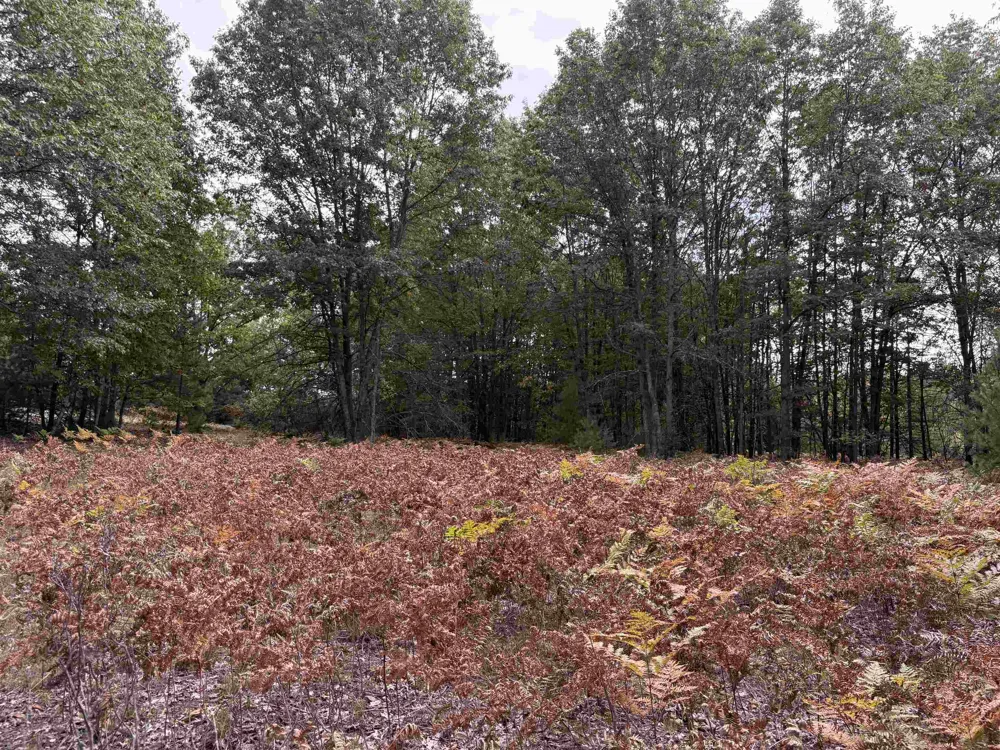 7267 S Snyder Road Springfield Township, MI 49633