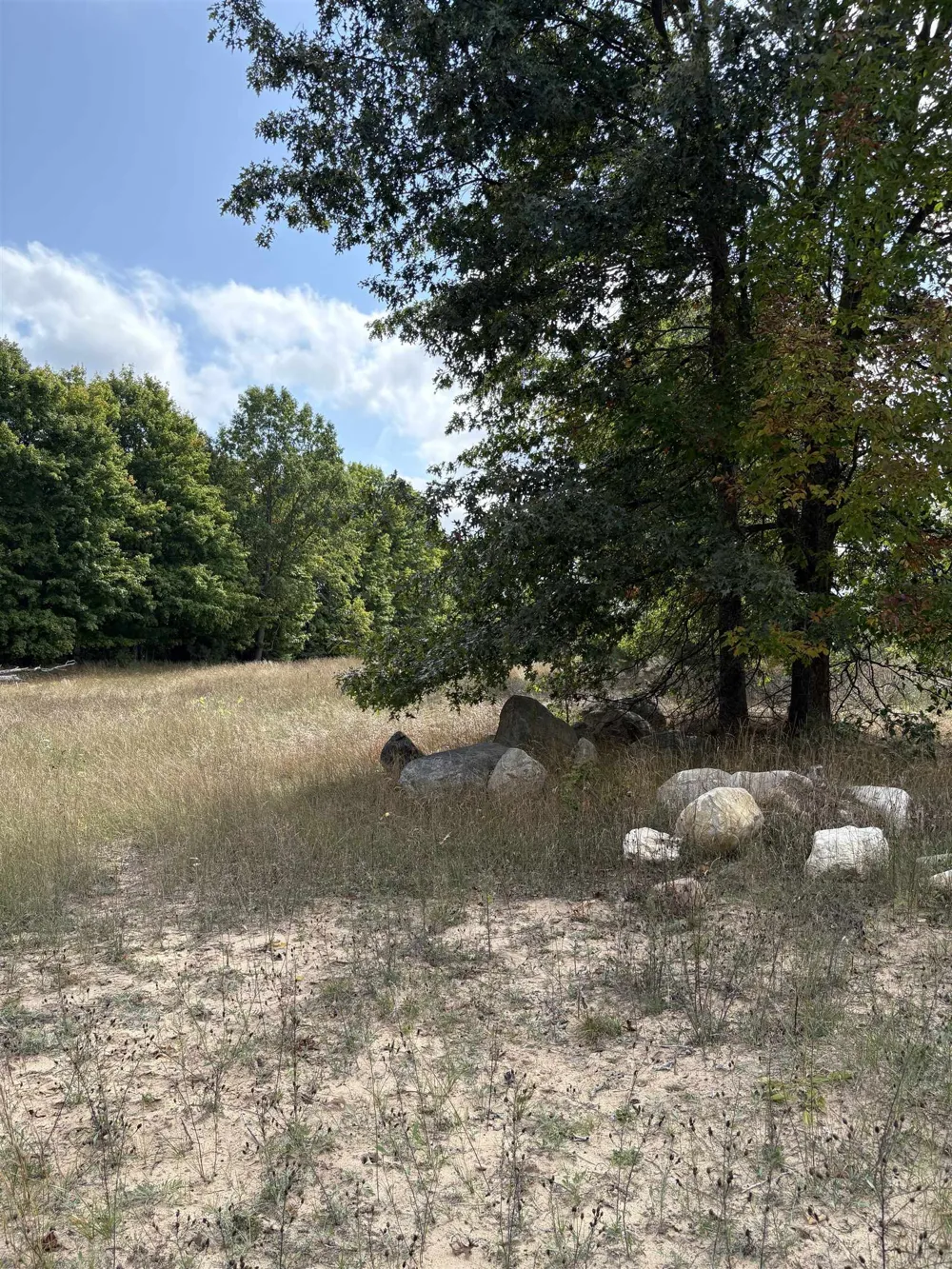 7267 S Snyder Road Springfield Township, MI 49633