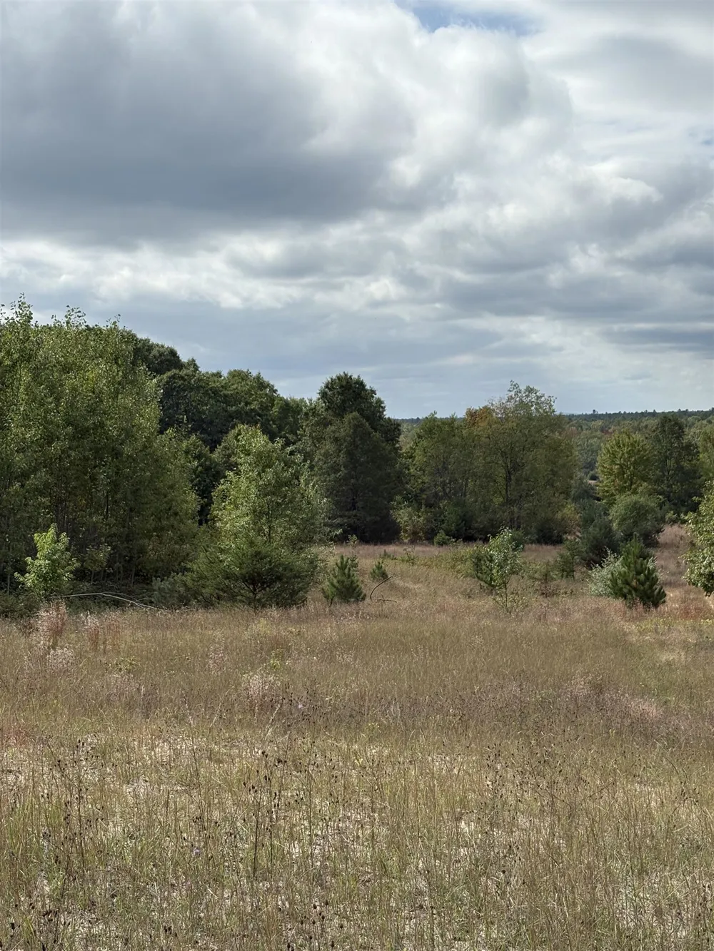7267 S Snyder Road Springfield Township, MI 49633