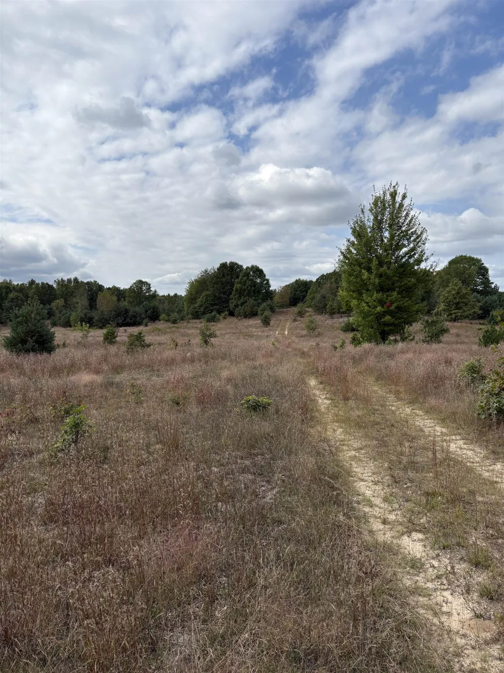 7267 S Snyder Road Springfield Township, MI 49633