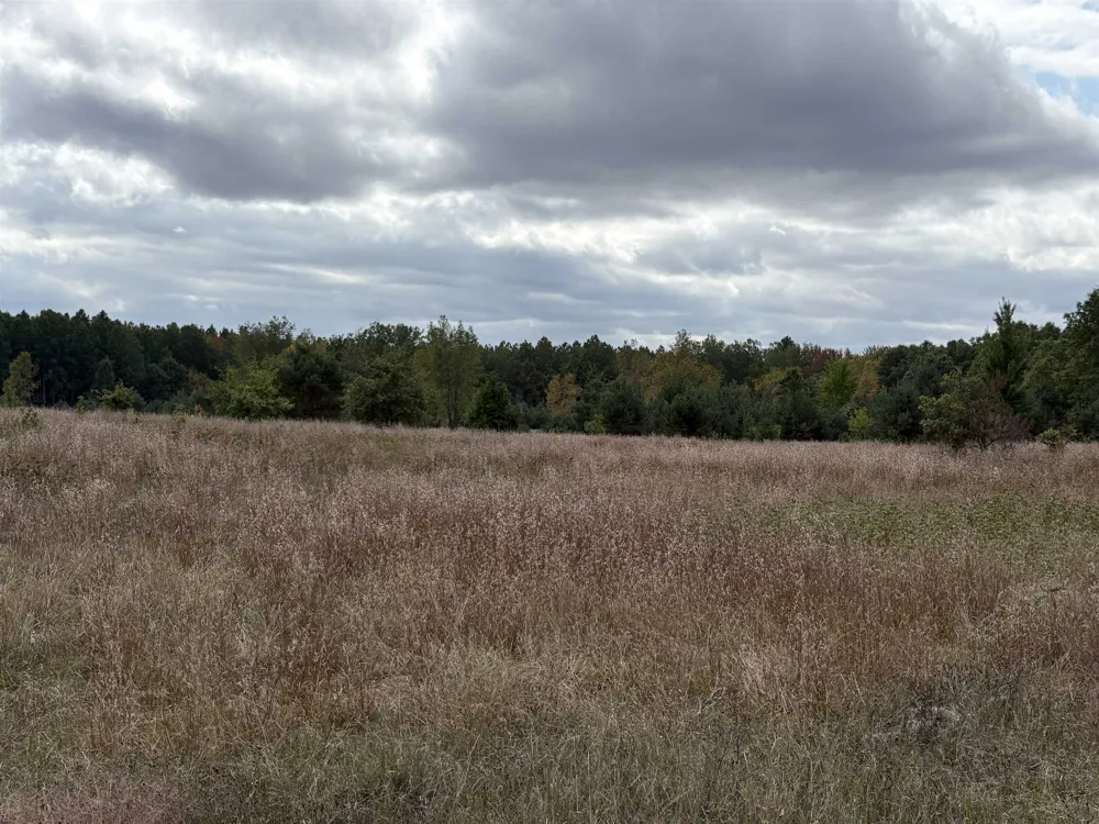 7267 S Snyder Road Springfield Township, MI 49633