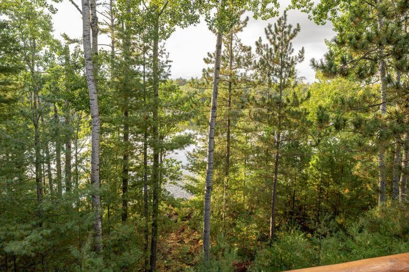 8912 Echo Valley Trail Montmorency Township, MI 49709
