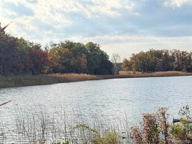 4886 Harding Avenue Independence Charter Township, MI 48346