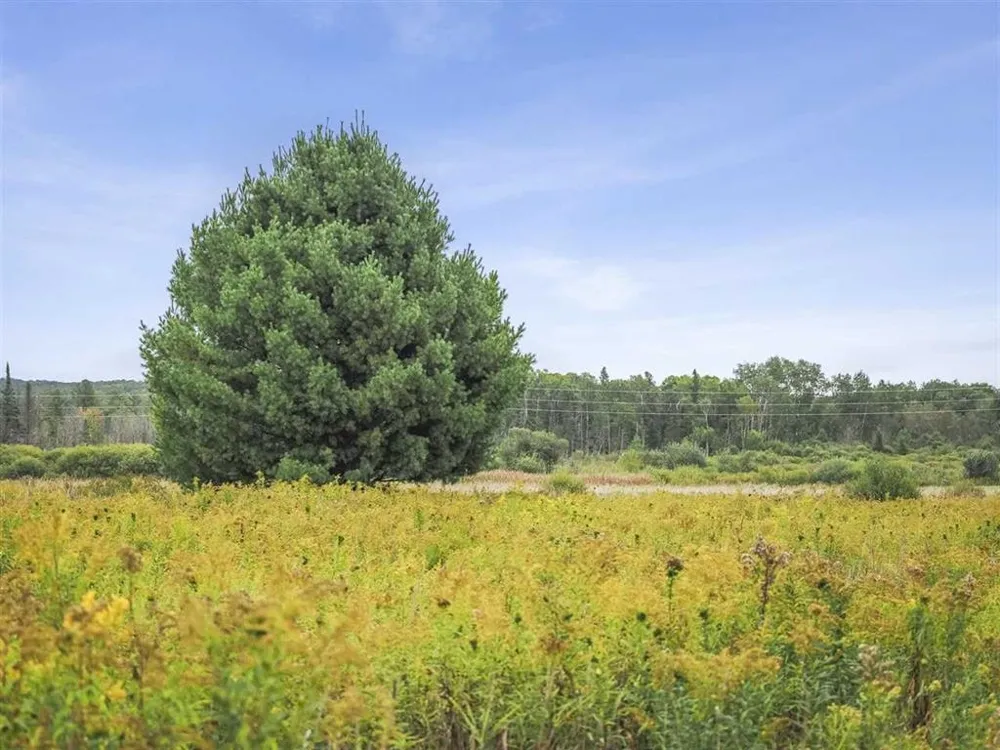 2322 M-66 Jordan Township, MI 49727