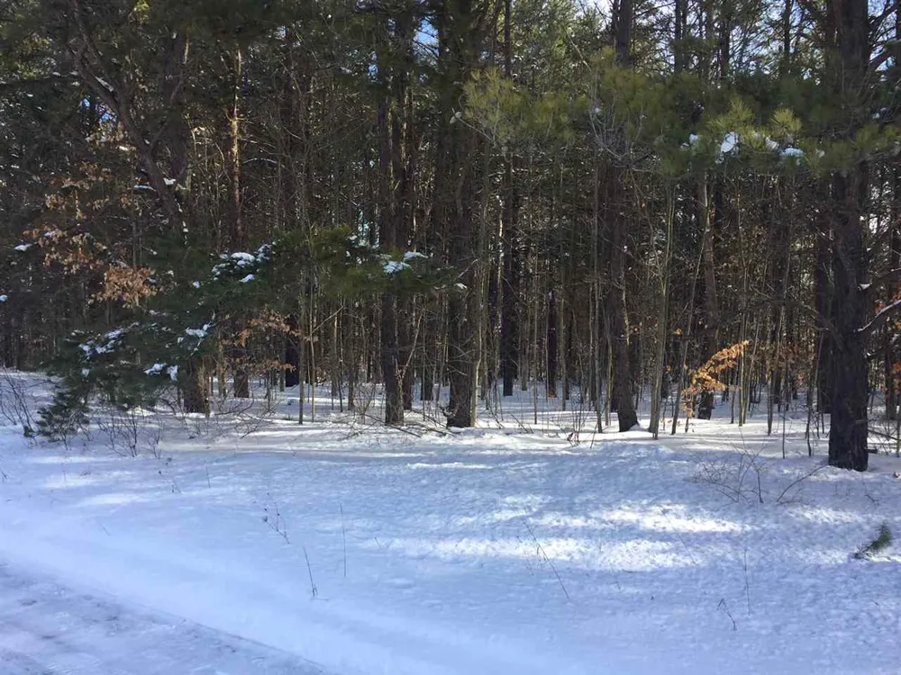Jackson Creek Road Paradise Township, MI 49649