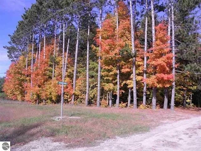 Jackson Creek Road Paradise Township, MI 49649