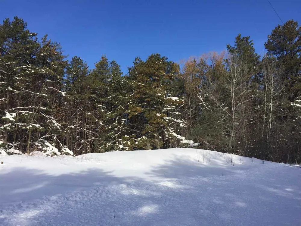 Jackson Creek Road Paradise Township, MI 49649