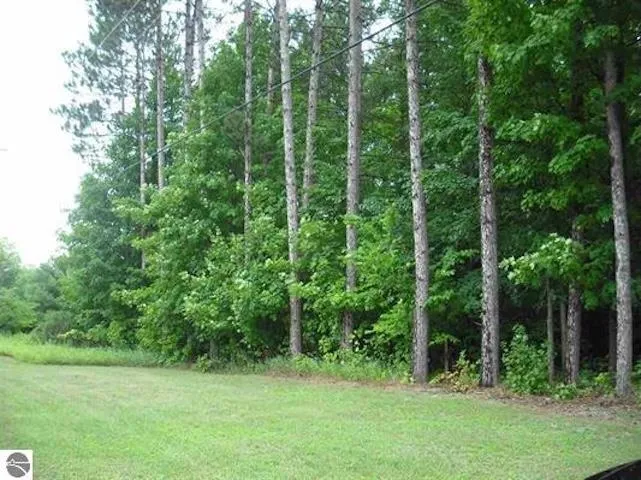 Jackson Creek Road Paradise Township, MI 49649