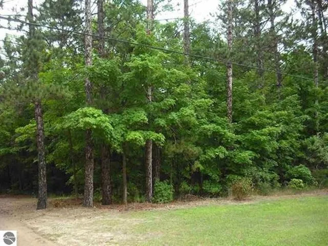 Jackson Creek Road Paradise Township, MI 49649