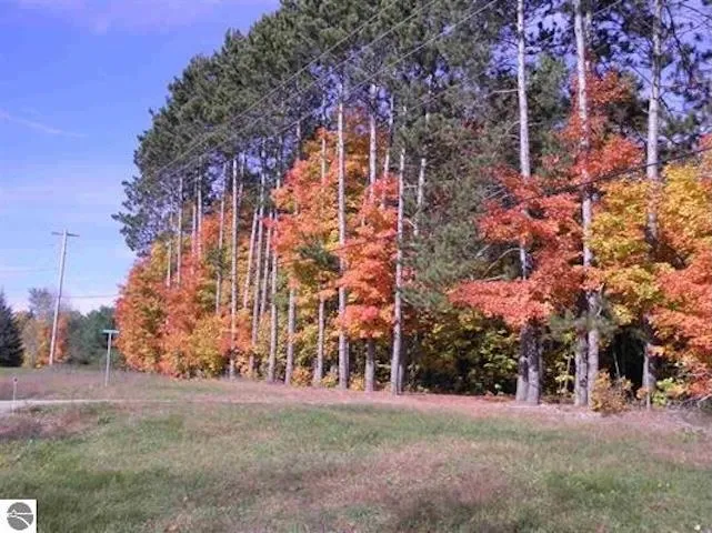 Jackson Creek Road Paradise Township, MI 49649