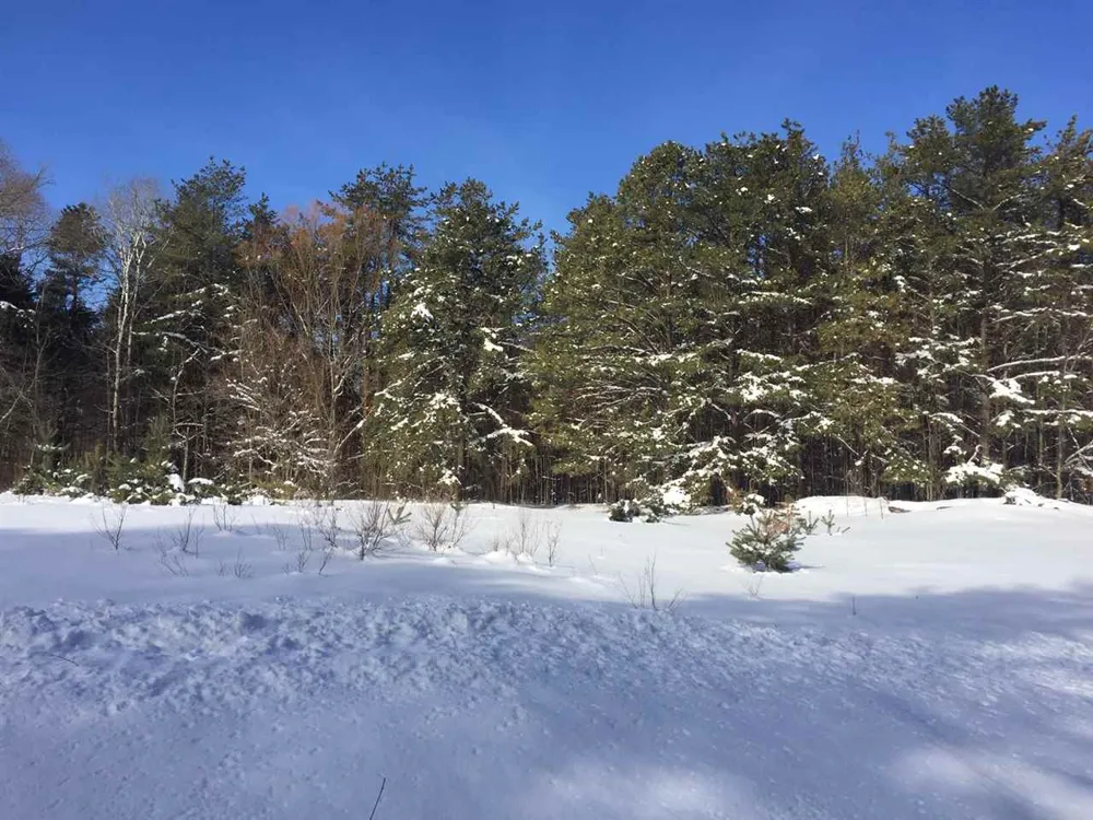 Jackson Creek Road Paradise Township, MI 49649