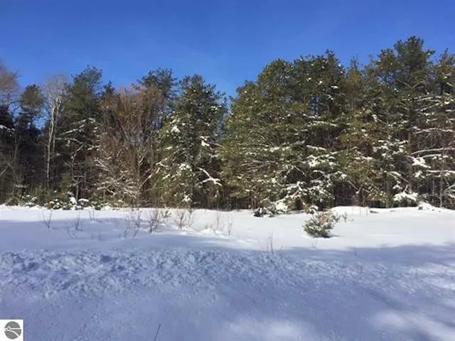 Jackson Creek Road Paradise Township, MI 49649