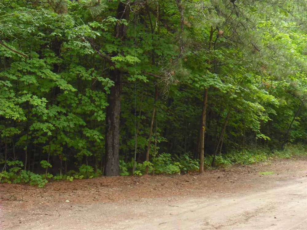 Jackson Creek Road Paradise Township, MI 49649