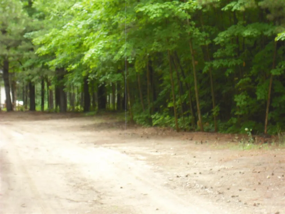 Jackson Creek Road Paradise Township, MI 49649