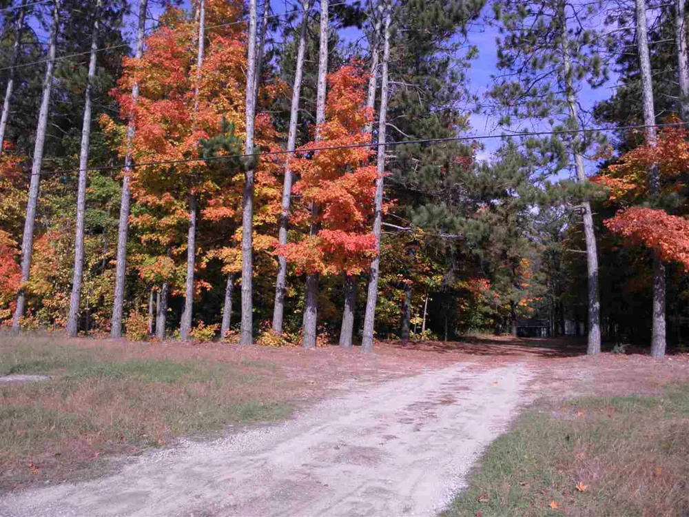 Jackson Creek Road Paradise Township, MI 49649