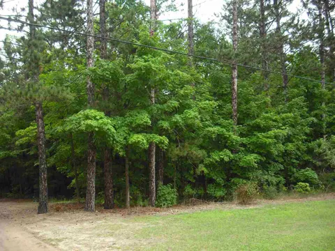 Jackson Creek Road