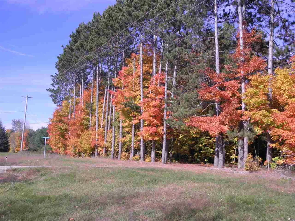Jackson Creek Road Paradise Township, MI 49649