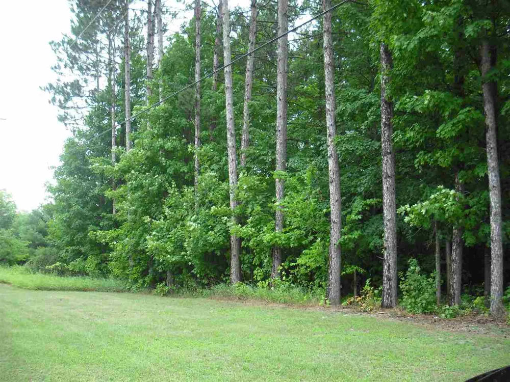 Jackson Creek Road Paradise Township, MI 49649