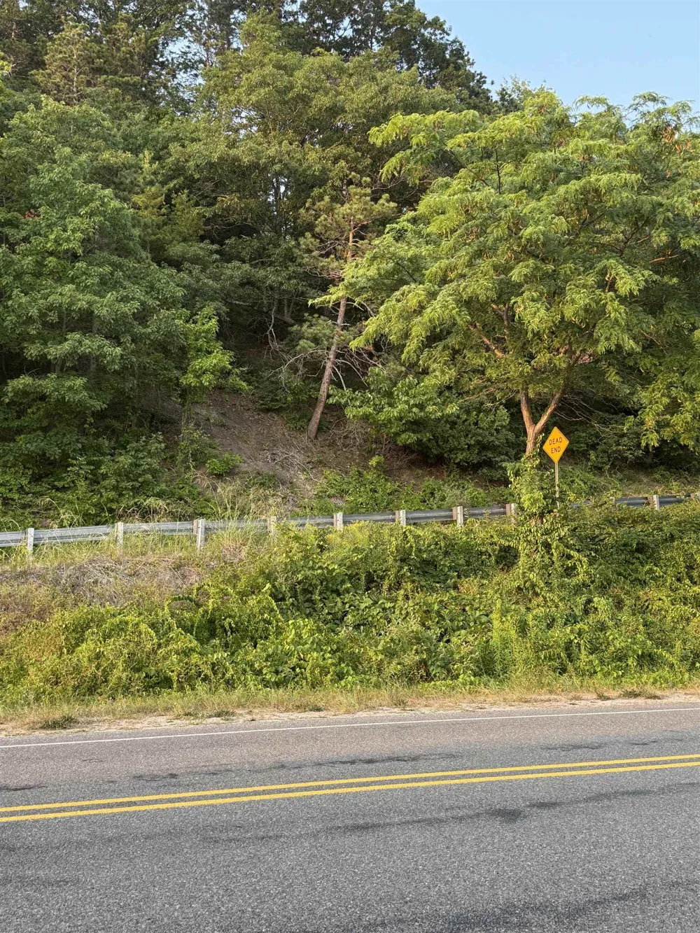 Arbutus Lane Lake Township, MI 49617