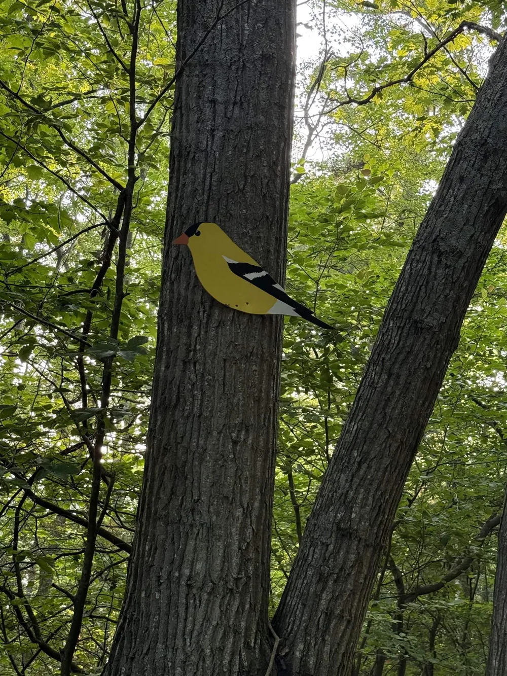 Arbutus Lane Lake Township, MI 49617