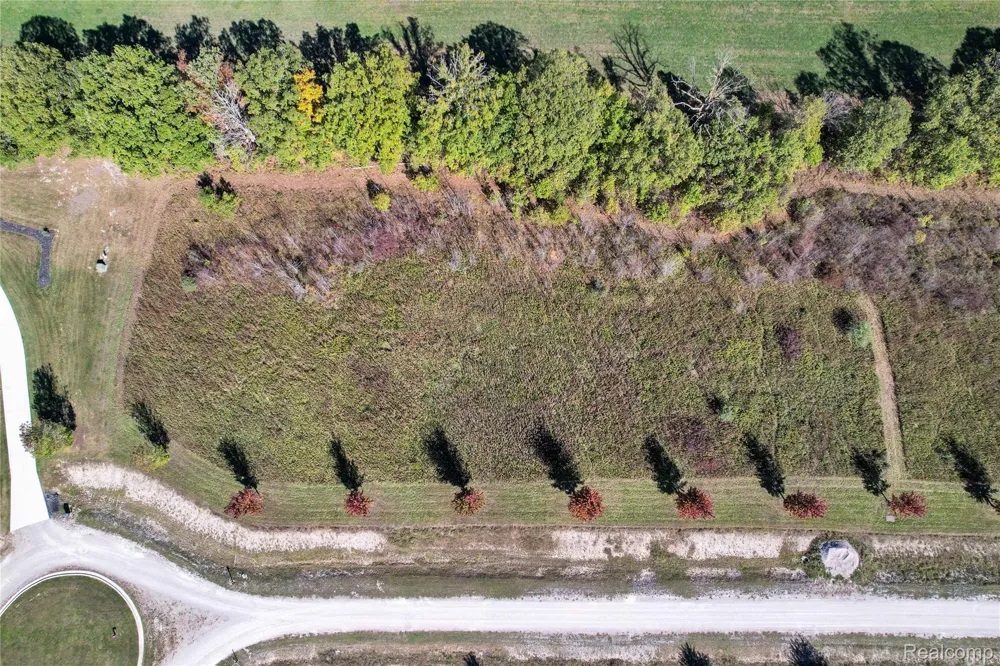24437 Murray LOT B Drive Ray Township, MI 48096