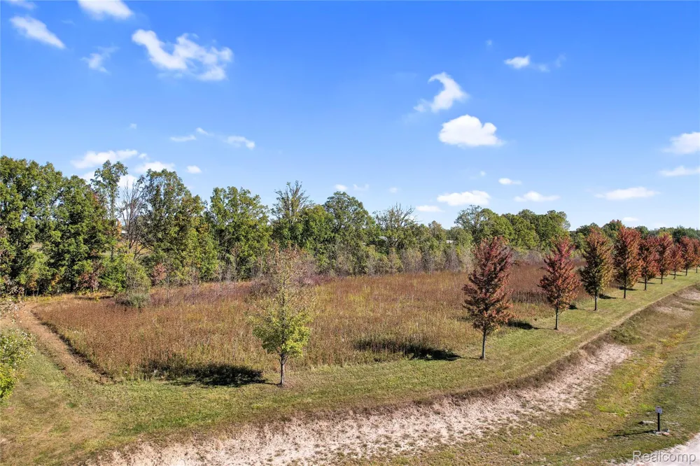 24437 Murray LOT B Drive Ray Township, MI 48096
