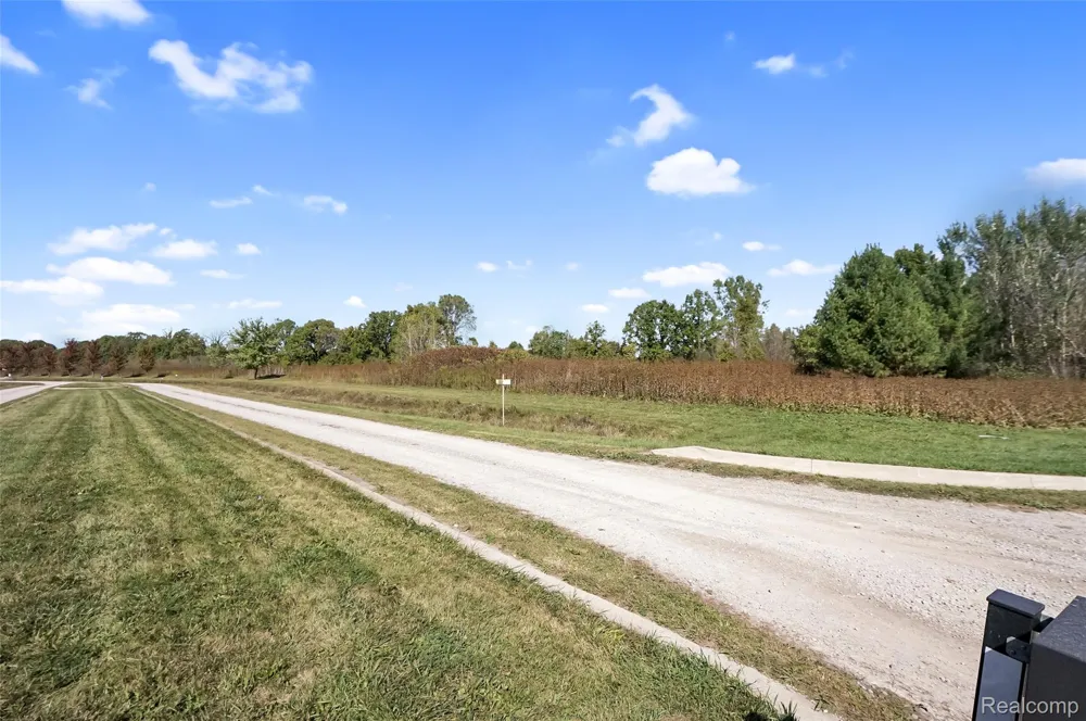 24437 Murray LOT B Drive Ray Township, MI 48096