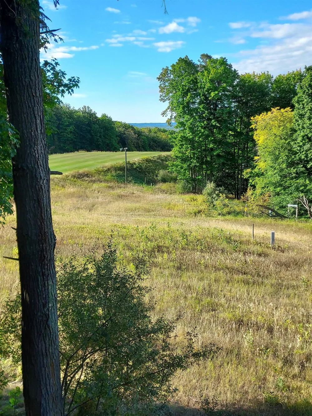 4643 Crossover Drive Kearney Township, MI 49615