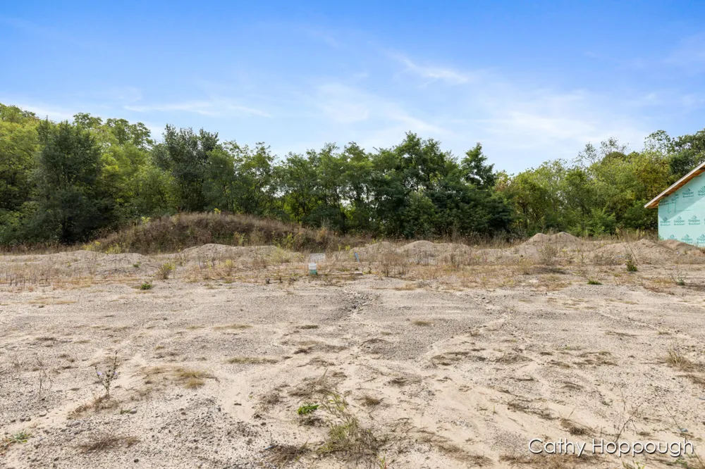 533 E Washington Street #A,B,C,D Ionia City, MI 48846