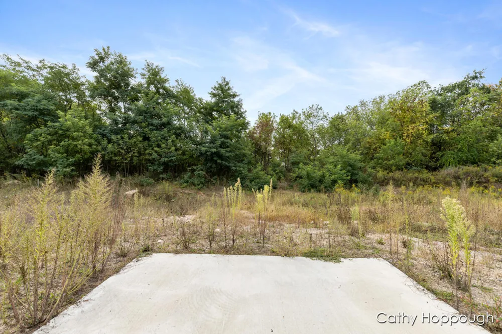 533 E Washington Street #A,B,C,D Ionia City, MI 48846