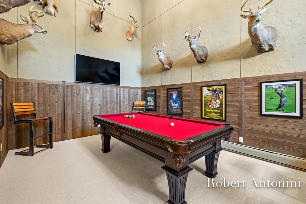 4751 S Johnson Road Montcalm Township, MI 49326