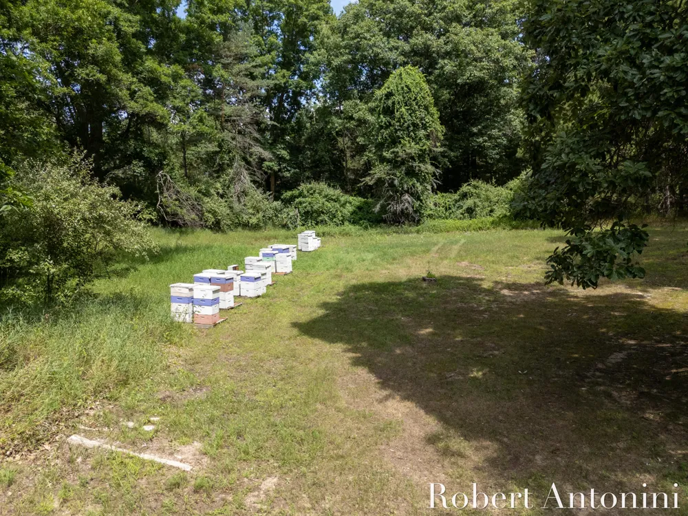4751 S Johnson Road Montcalm Township, MI 49326