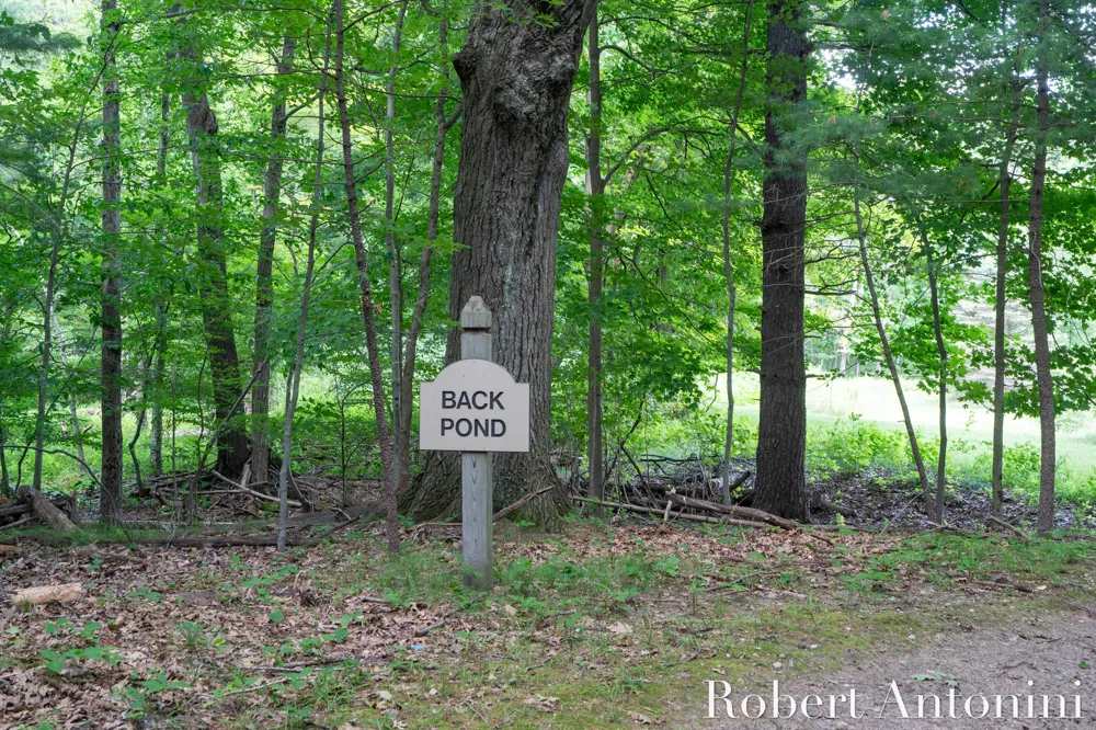 4751 S Johnson Road Montcalm Township, MI 49326